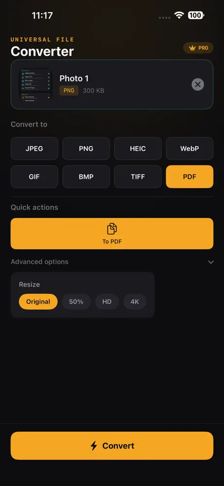 PDF conversion with resize presets and advanced options